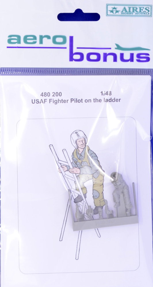 1/48 USAF Fighter Pilot on the ladder
