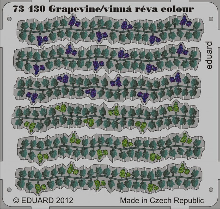 SET 1/72 Grapevine colour