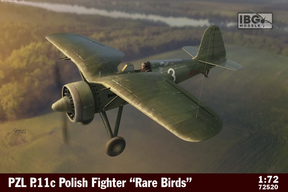 1/72 PZL P.11c Polish Fighter 'Rare Birds'