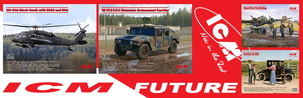 ICM future